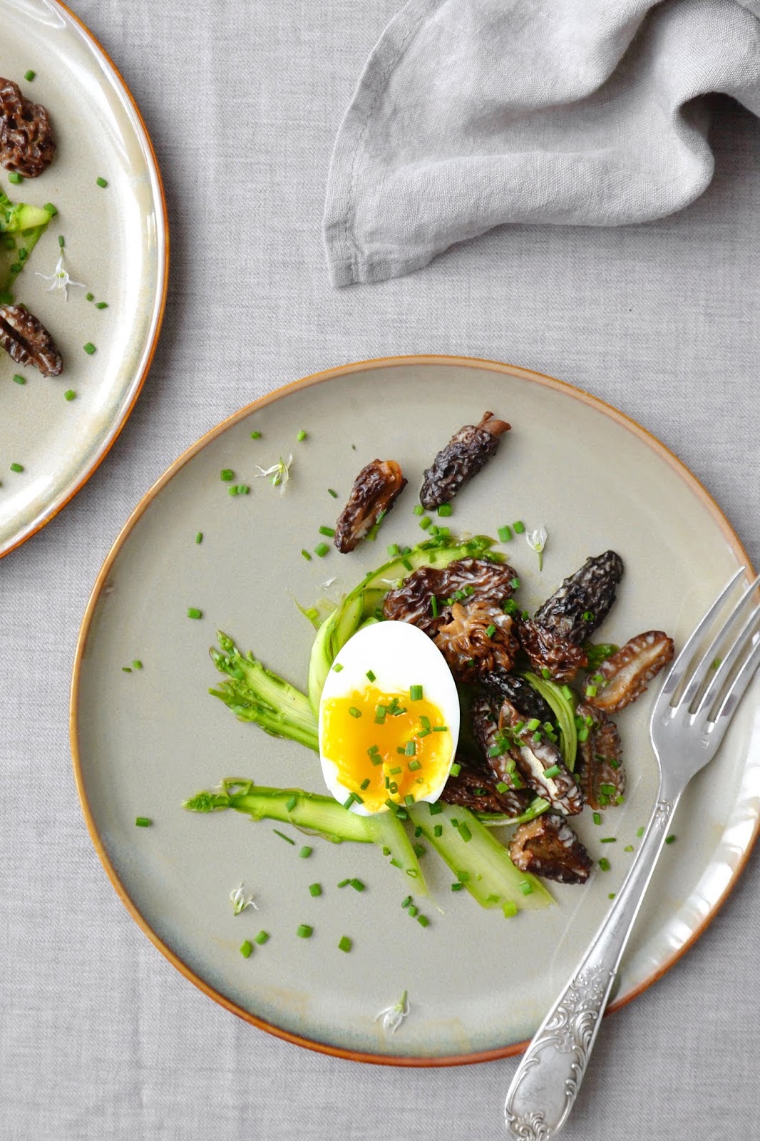 Oeuf poché à la crème de morilles facile : découvrez les recettes