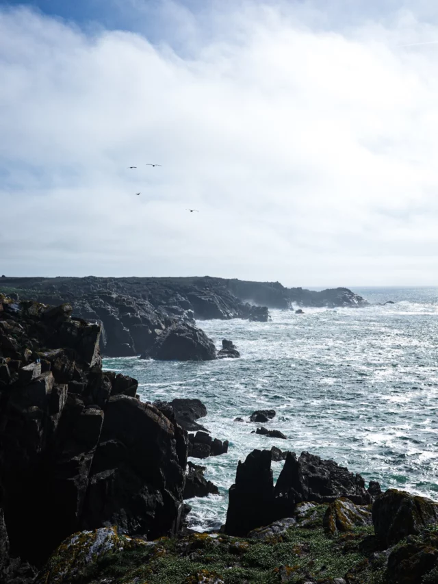 Une petite semaine à l’ile d’Yeu.
Merci Frédérique de m’avoir fait découvrir ton île merveilleuse. Et quel bonheur de marcher le long de l’océan sous ces lumières de mars. C’était magique!#lacuisinecestsimple
#yeu
#vendée
#oceanatlantique