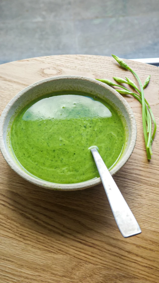 Soupe à l’ail des oursLa soupe qu’on ne fait qu’une fois ou deux dans l’année mais qui en vaut tellement la peine. Cette recette est l’idée d’une amie (découvrez qui dans la vidéo) que je remercie infiniment pour le partage.Et quand il n’y a plus d’ail des ours, on le remplace par… je vous dis tout à la fin de la vidéo.Tous les détails de la recette sont sur mon blog Lacuisinecestsimple.com (lien direct sur mon profil).À bientôt pour d’autres idées aussi simplissimes!#lacuisinecestsimple
#aildesours
#recettefacile
#recettevegetarienne